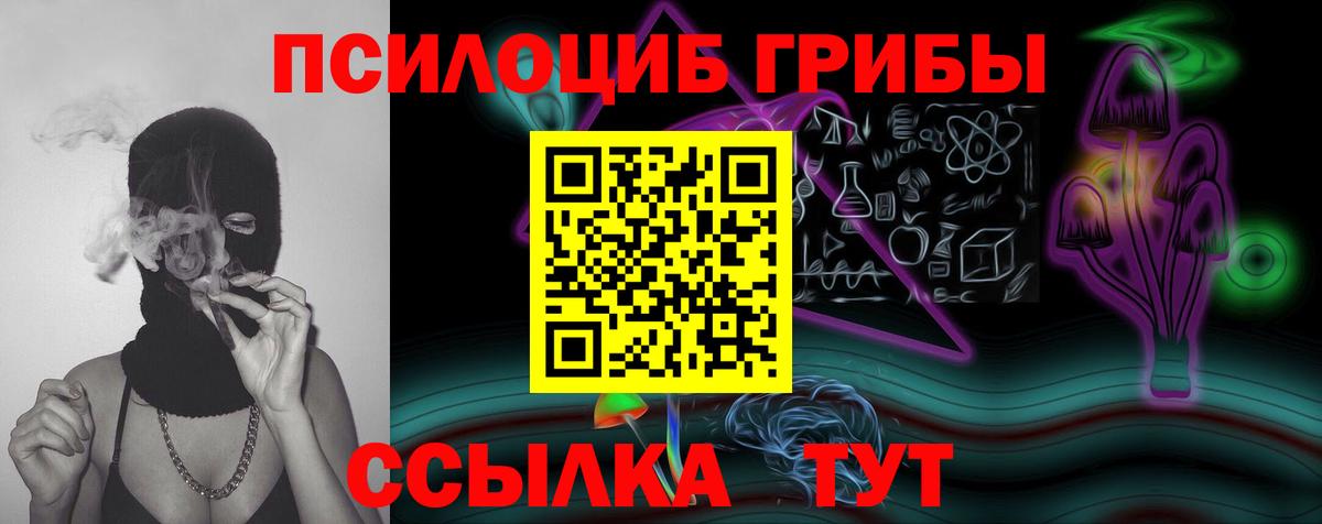 Магнитогорск  закладка  Вход с VPN  Псилоцибиновые грибы Psilocybine cubensis 