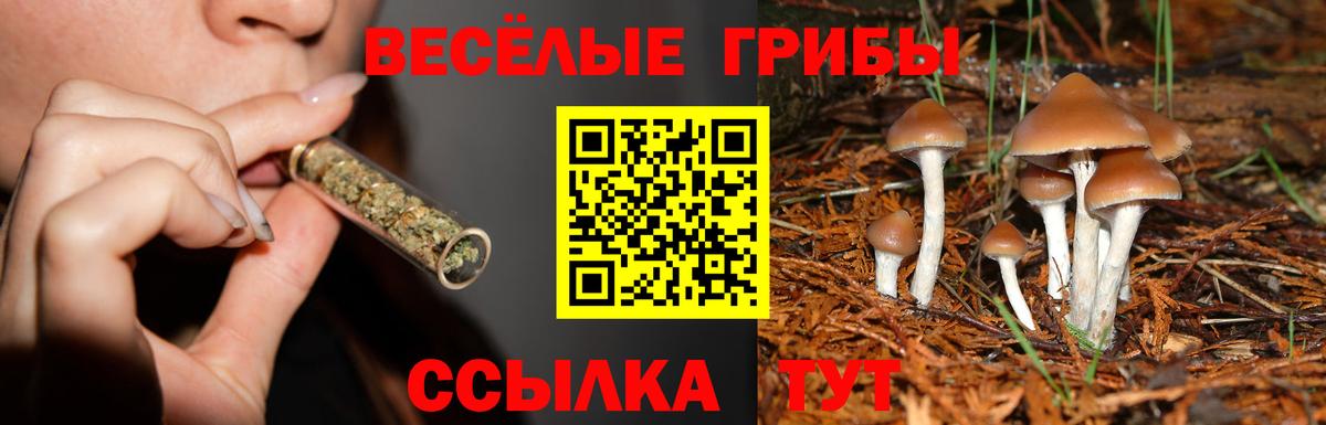 Псилоцибиновые грибы мухоморы Магнитогорск